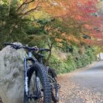 卯辰山の紅葉