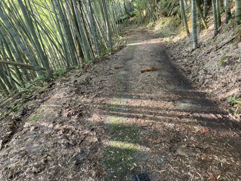 高尾の林道です