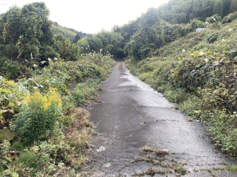 金沢市高尾の林道です